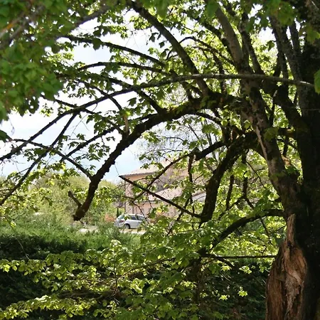 Bonabri - D'hôtes