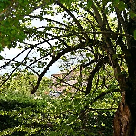 Bonabri - D'hotes 4* Chazelles (Charente)